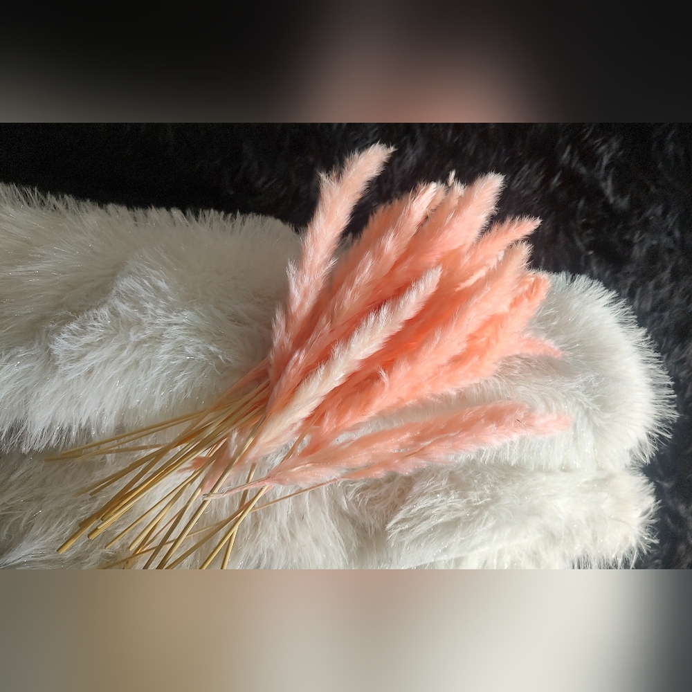 Pampas Grass Feathers PINK 20pcs Bundle